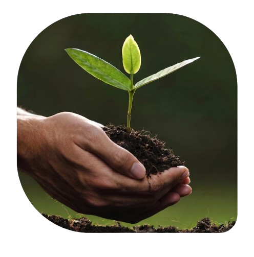 Licenciamento Ambiental